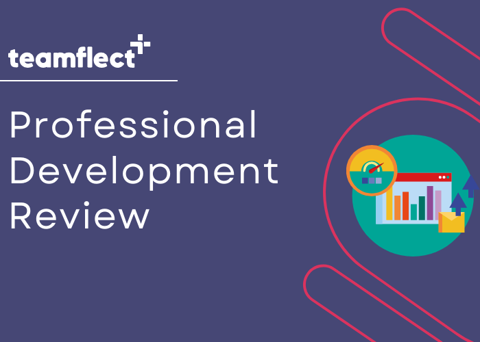professional development review visual